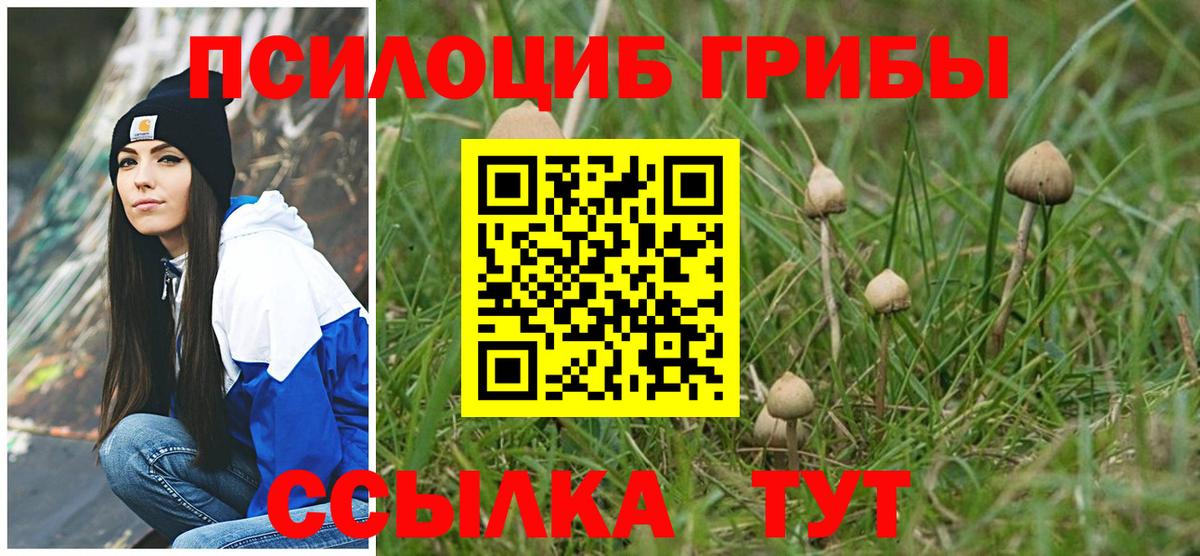 Псилоцибиновые грибы ЛСД Сланцы