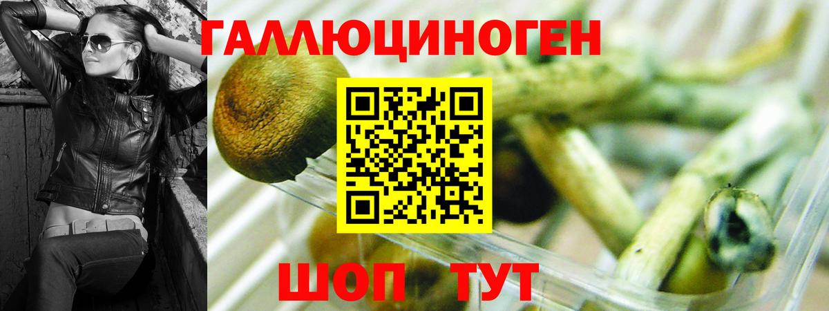 Галлюциногенные грибы ЛСД  Вход с VPN  Псилоцибиновые грибы GOLDEN TEACHER  Сланцы 
